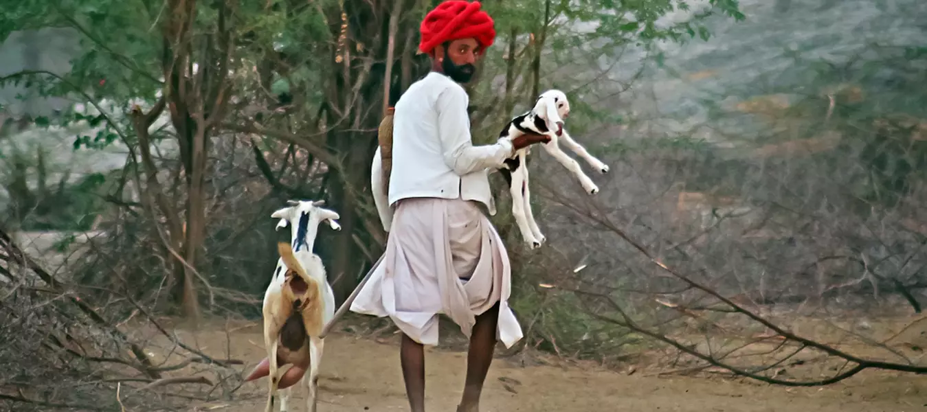 Reise indien in das land der Rajasthan Indianer