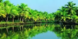 Besuchen Sie Kerala Ayurveda